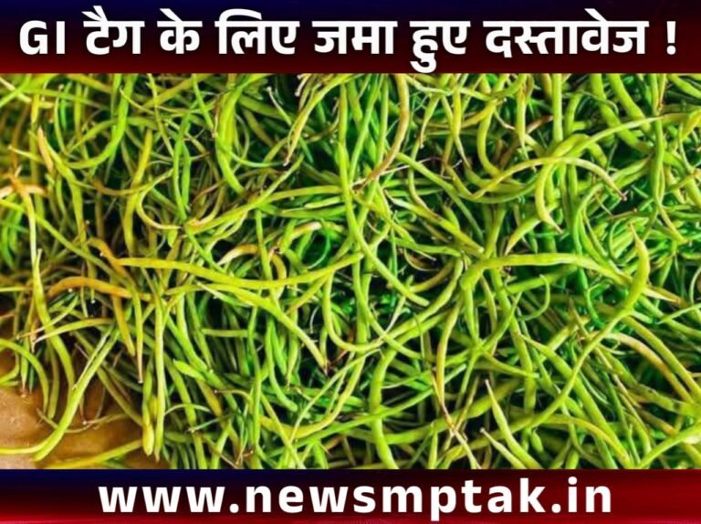 सांगरी को मिला GI टैग – मरुस्थल की शान को वैश्विक पहचान!