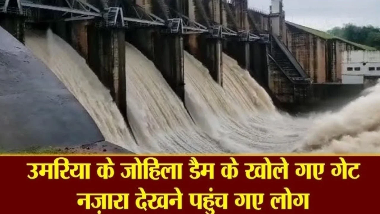 MP Weather Alert: उमरिया में जोहिला डैम के गेट खुले, निचले इलाकों में बाढ़ का खतरा