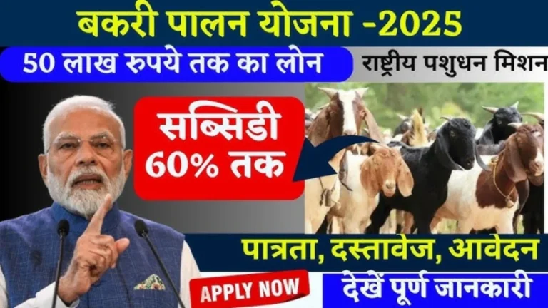 Sarkari Yojana: बकरी पालिए और पाइए 1 करोड़ तक का लोन और 50% सब्सिडी जानिए यूपी सरकार की योजना 2025