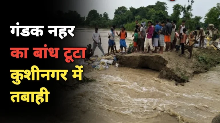 UP News: गंडक नहर का बांध टूटा कुशीनगर में तबाही, सैकड़ों एकड़ फसल जलमग्न