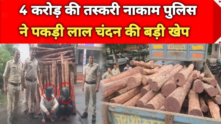 MP News: मंदसौर में 4 करोड़ का लाल चंदन जब्त, तस्करी का बड़ा खुलासा