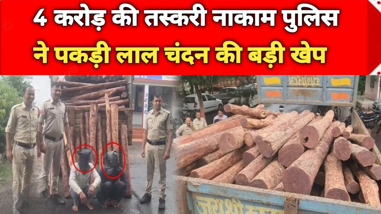 MP News: मंदसौर में 4 करोड़ का लाल चंदन जब्त, तस्करी का बड़ा खुलासा