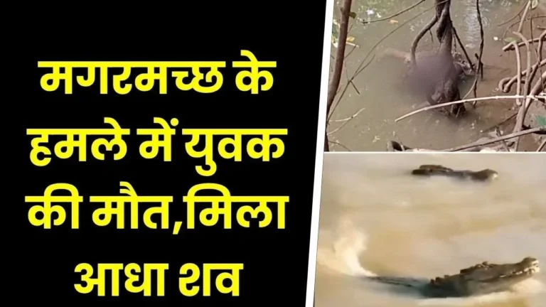 मछली पकड़ने गए युवक को मगरमच्छ ने बनाया शिकार आधा शव मिलने से हड़कंप
