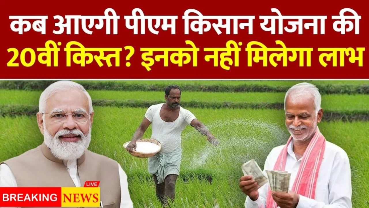 PM Kisan Yojana: 20वीं किस्त का इंतजार बढ़ा किसानों की चिंता गहराई अभी तक नहीं आया पैसा
