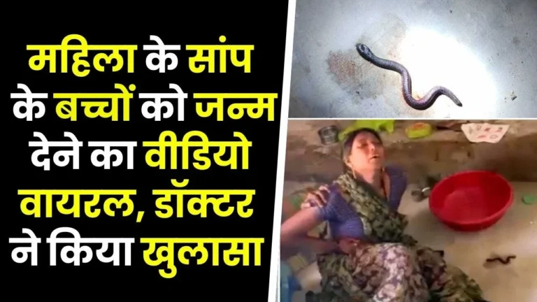 MP News: छतरपुर में अजीबो-गरीब घटना से मचा हड़कंप महिला ने दिए सांप के बच्चे जन्म डॉक्टरों ने बताई सच्चाई